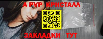 гашик Новозыбков