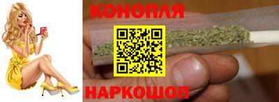 гашик Новозыбков