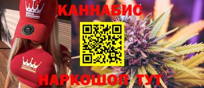 гашик Новозыбков