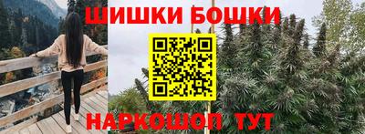 гашик Новозыбков