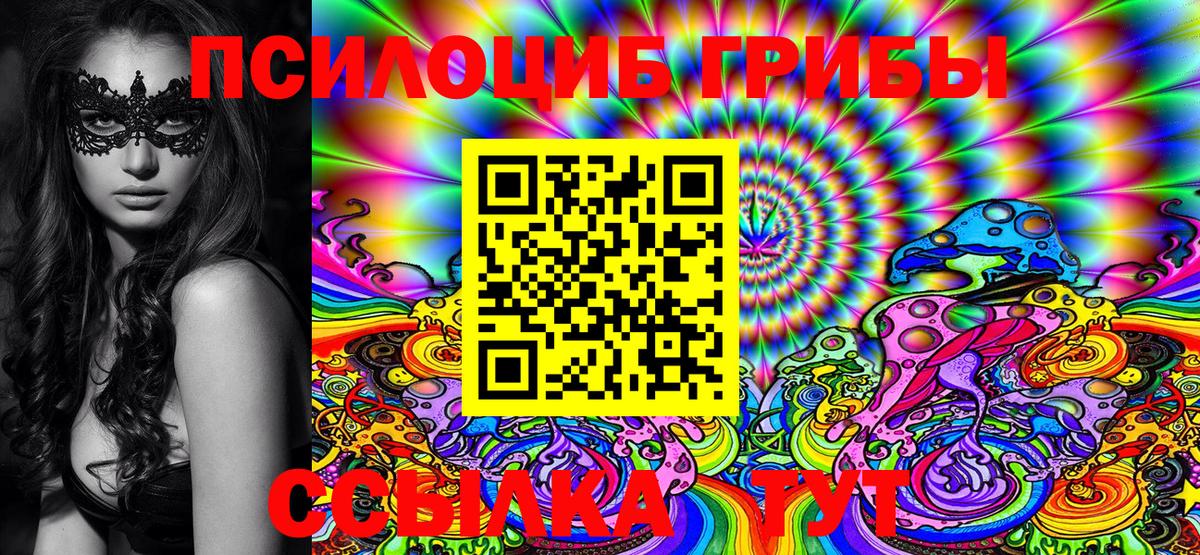 Галлюциногенные грибы Psilocybine cubensis Тара