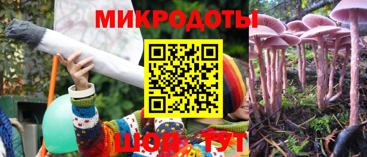 Тара  Псилоцибиновые грибы мицелий  Вход с VPN 