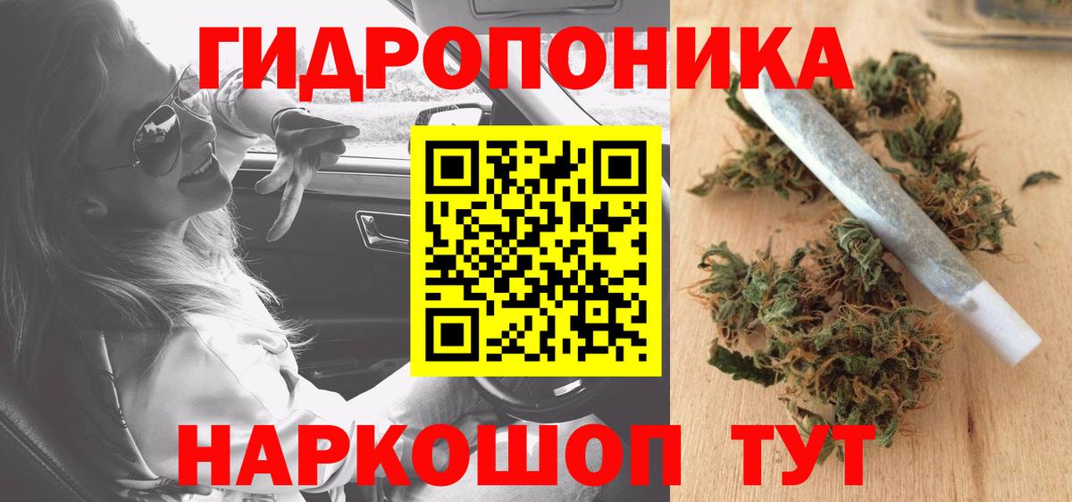 Шишки марихуана марихуана Тара